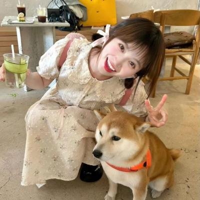 象牙山的好人们